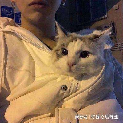 山海异兽志手游下载