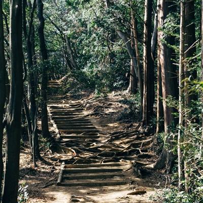 九游纳兹冒险记手游下载